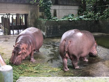 沖縄こどもの国に投稿された画像（2020/11/9）