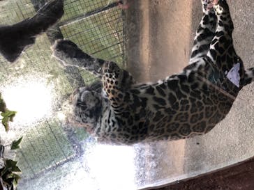 那須どうぶつ王国に投稿された画像（2020/11/9）