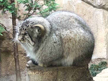 那須どうぶつ王国に投稿された画像（2020/11/9）