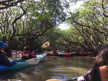 アイランドサービスに投稿された画像（2020/11/9）