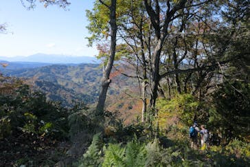 HOME HOME NIIGATA（ホームホームニイガタ）に投稿された画像（2020/11/9）