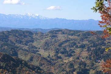 HOME HOME NIIGATA（ホームホームニイガタ）に投稿された画像（2020/11/9）