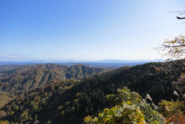 HOME HOME NIIGATA（ホームホームニイガタ）に投稿された画像（2020/11/9）