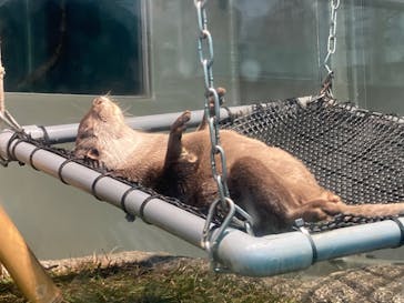 サンシャイン水族館に投稿された画像（2020/11/9）