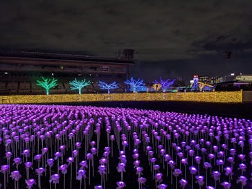 東京メガイルミに投稿された画像（2020/11/9）