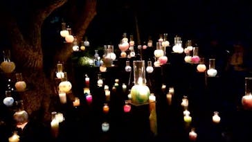 江の島シーキャンドルに投稿された画像（2020/11/9）