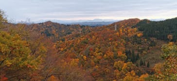 HOME HOME NIIGATA（ホームホームニイガタ）に投稿された画像（2020/11/9）