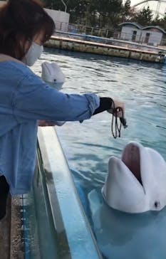 横浜・八景島シーパラダイスに投稿された画像（2020/11/9）