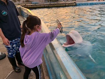 横浜・八景島シーパラダイスに投稿された画像（2020/11/9）