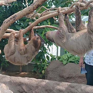 神戸どうぶつ王国に投稿された画像（2020/11/9）