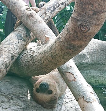 神戸どうぶつ王国に投稿された画像（2020/11/9）