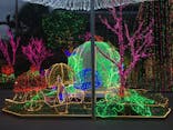 美らヤシパークオキナワ・東南植物楽園に投稿された画像（2020/11/9）