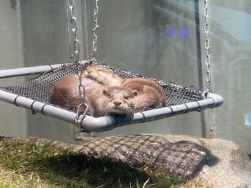 サンシャイン水族館に投稿された画像（2020/11/9）