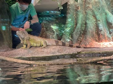 サンシャイン水族館に投稿された画像（2020/11/9）