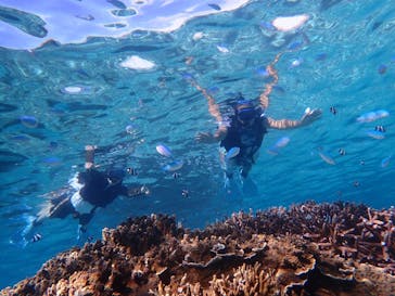 宮古島 ADVENTURE PiPi（ミヤコジマ アドベンチャー ピピ）に投稿された画像（2020/11/9）