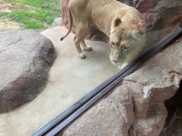 天王寺動物園に投稿された画像（2020/11/10）