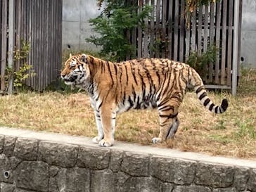 天王寺動物園に投稿された画像（2020/11/10）