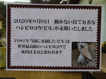 伊豆シャボテン動物公園に投稿された画像（2020/11/10）