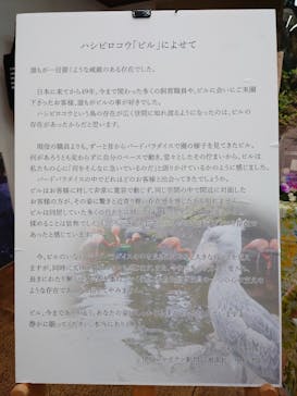 伊豆シャボテン動物公園に投稿された画像（2020/11/10）