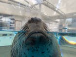 京都水族館に投稿された画像（2020/11/10）