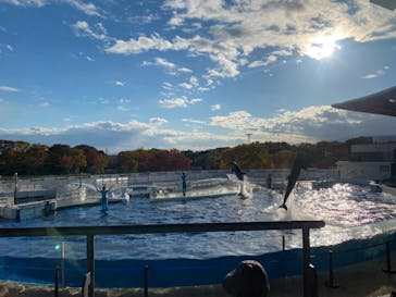 京都水族館に投稿された画像（2020/11/10）