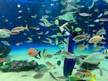 サンシャイン水族館に投稿された画像（2020/11/10）