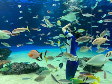 サンシャイン水族館に投稿された画像（2020/11/10）