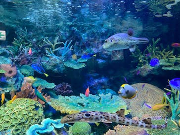 サンシャイン水族館に投稿された画像（2020/11/10）