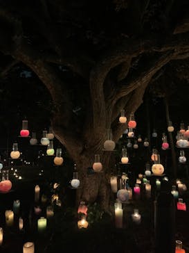 江の島シーキャンドルに投稿された画像（2020/11/10）