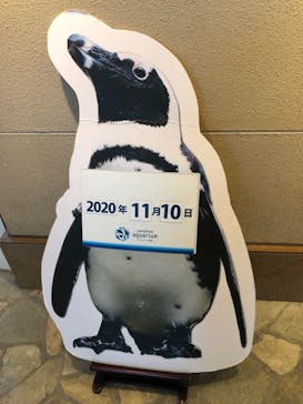 サンシャイン水族館に投稿された画像（2020/11/10）