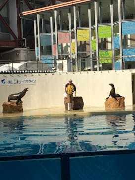 伊豆・三津シーパラダイスに投稿された画像（2020/11/10）