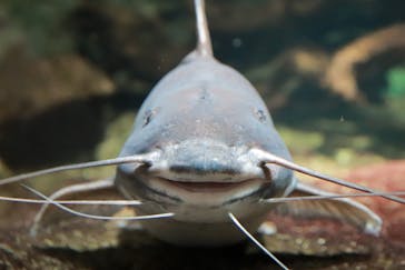 サンシャイン水族館に投稿された画像（2020/11/10）