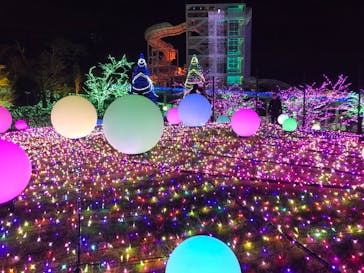 よみうりランド 遊園地に投稿された画像（2020/11/10）