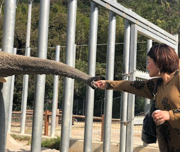 しろとり動物園に投稿された画像（2020/11/10）