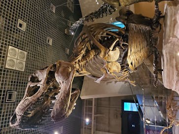 国立科学博物館に投稿された画像（2020/11/10）