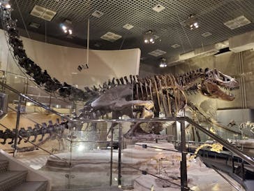 国立科学博物館に投稿された画像（2020/11/10）