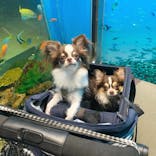 京急油壺マリンパークに投稿された画像（2020/11/11）