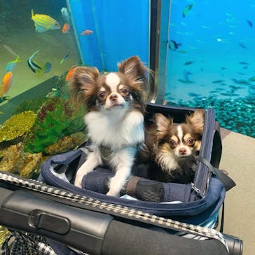 京急油壺マリンパークに投稿された画像（2020/11/10）