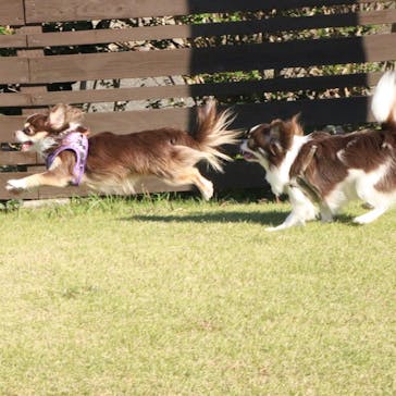 京急油壺マリンパークに投稿された画像（2020/11/10）