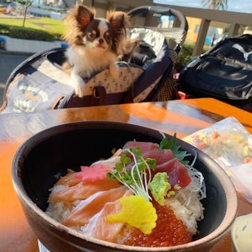 京急油壺マリンパークに投稿された画像（2020/11/10）