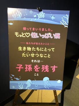 サンシャイン水族館に投稿された画像（2020/11/10）