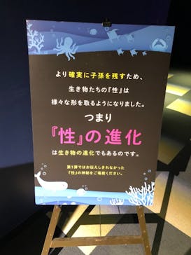 サンシャイン水族館に投稿された画像（2020/11/10）
