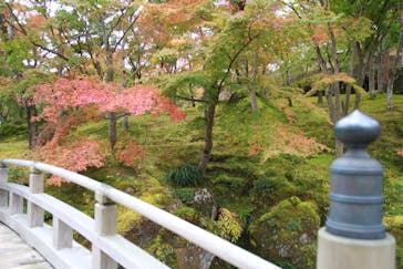 箱根美術館に投稿された画像（2020/11/10）