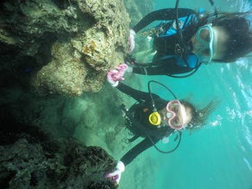 武藤潜水に投稿された画像（2020/11/11）