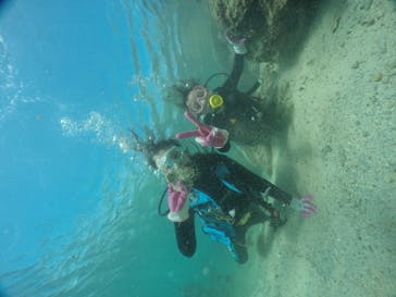 武藤潜水に投稿された画像（2020/11/11）