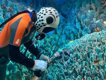 サンシャイン水族館に投稿された画像（2020/11/11）