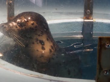 下田海中水族館に投稿された画像（2020/11/11）