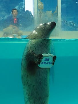下田海中水族館に投稿された画像（2020/11/11）