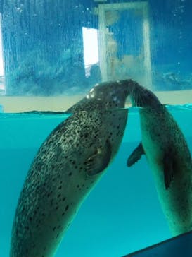 下田海中水族館に投稿された画像（2020/11/11）