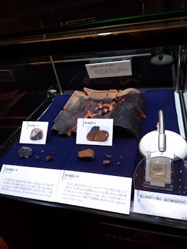 国立科学博物館に投稿された画像（2020/11/11）